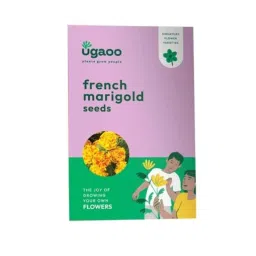 Ugaoo 25g Flower Marigold French Seeds, NUFSO060-picture-3
