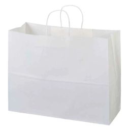 PRB Bags White Kraft Paper Shopping Bag (Pack of 25)-image-69