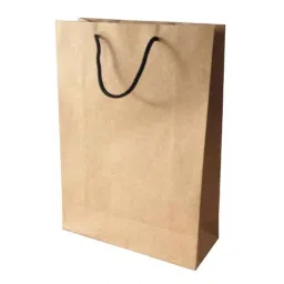 PRB Bags Brown Kraft Paper Bag with Cord Handle (Pack of 10)-image-14