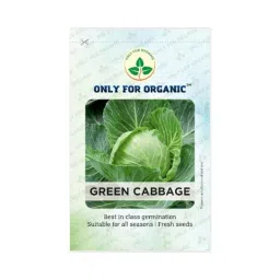 Only For Organic 50g Cabbage Vegetable Seeds, OFOPPCFO0050-image-77