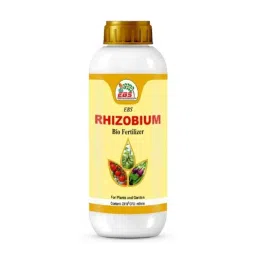 EBS Rhizobium SPP 1 Litre Bio Fertilizer for Nitrogen Fixation in Soil Naturally &a; Better Absorption Nitrogen (Pack of 10)-image-9