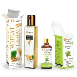 GoWoo 2 Pcs 10ml Natural Therapeutic Grade Cold Pressed Cinnamon Leaf Aroma Oil &a; 100ml Wheat Germ Carrier Oil Set, GWOC400-P14+P185-picture-0