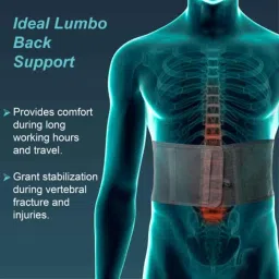 Tynor Lumbo Support, Size: Special image 2