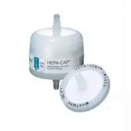 Whatman 30mm Glass Microfiber HEPA-CAP Filter, 6702-3600-48