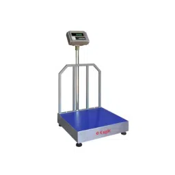 Eagle EIW Pro PM66 500kg Mild Steel Industrial Platform Weighing Scale-picture-11