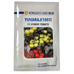 Nongwoo Yuvaraj 1003 8g F1 Hybrid Vegetable Tomato Seeds, Number of Seeds: 3000-image-63