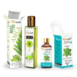 GoWoo 2 Pcs 10ml Natural Melissa Aroma Oil &a; 100ml Amla Carrier Oil Set, GWOC893-P33+P165-picture-6