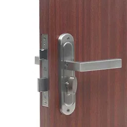 Saze ‎Stainless Steel Matt Satin Finish Round Plate Mortise Door Lock, LB201-picture-0
