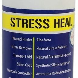 Internal Anti-fungal Medication Liquid-21