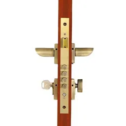 Voltizi 70mm ‎Zinc ‎Antique Finish Rose Mortise Door Lock Set for Main Door, CRZ020-image-68