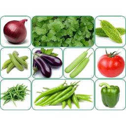 Aero Seeds 150g 10 Varieties Vegetable Seeds, Aero-Veg-10-image-30