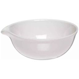 Rasayan 100mm Evaporating Dish,45203-10