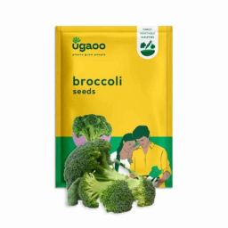 Ugaoo 2g Vegetable Broccoli Seeds, NUVSO091-image-86