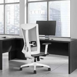 Rose Henley Mesh White &a; Grey Medium Back Revolving Ergonomic Office Chair-48