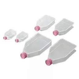 Lab Plus Cell Culture Flask, LP-4733 (Pack of 5)-44