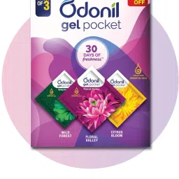 Gel Pocket, Citrus Bloom, Floral Valley, Wild Forest, Lasts Up to 30 days | PACK OF 2 Blocks-picture-27