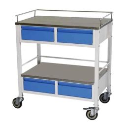 Wellsure Healthcare Mild Steel Powder Coated 2 Shelves Medicine Trolley with Stainless Steel Top &a; 4 Drawers, WSH-1419-picture-16