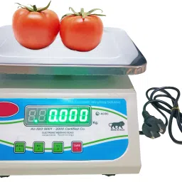 ACU-CHECK Stainless Steel 30kg x 2g, Chargeable Front & Back Display for Shops, Restaurant Weighing Scale-image-72