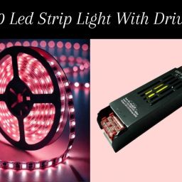 120 LEDs 5 m Pink Steady Strip Rice Lights-image-11