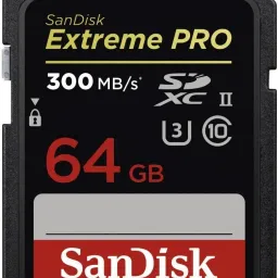 SanDisk SDSDXDK-064G-GN4IN Extreme Pro 64 GB SDHC UHS-I Card Class 10 300 MbpsMemory Card Compatible with Camera-picture-47