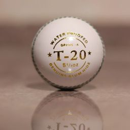 T-20 CRICKET BALL Cricket Leather Ball-image-7