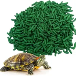 Turtle Food Stick 500g All Turtles & Reptiles for Good Shell Health & Daily Diet Shrimp 0.5 kg Dry Adult, New Born, Young, Senior Turtle Food-image-7