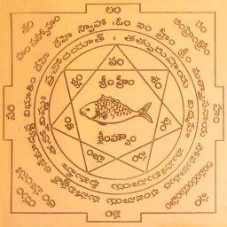 Matsya Yantra(Vastu Matsya Yantra) | Matsya Yantram Telugu Size 6 Inches Copper Yantra-image-21