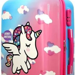 Small Check-in Suitcase (20 inch) 4 Wheels - uniconr 20_516 - Pink-image-4
