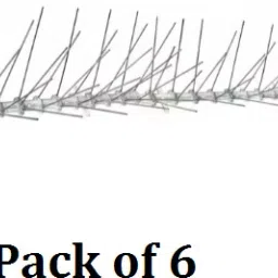 Bird Spike-2