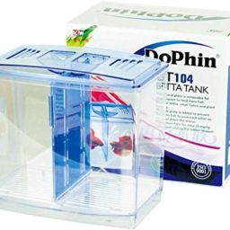BT-104 Betta Fish Tank Rectangle Aquarium Tank-image-8