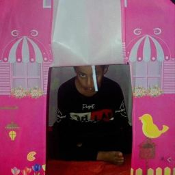 Eco-Friendly Tent House with Flower Graphics-image-39