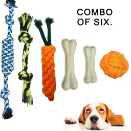 bones up Combo of 6 Dog Chew Cotton Rope Toys for Puppy Ideal for Playing, Chew and Fetch Cotton Chew Toy For Dog image 2
