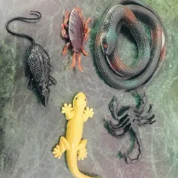 SNAKE LIZARD RAT GANG COMBO PACK-20