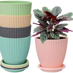 Plant Container Set-image-33