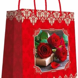 Printed Party Bag-image-59