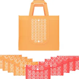 Pack of 10 Smile Foldable Grocery/Shopping Bags For Women | Orange & Red Pack of 10 Grocery Bags-image-41