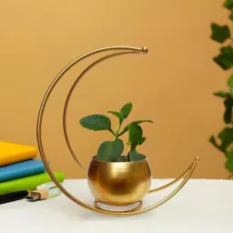 Moon Shaped Golden Metal Planter Stand | Decorative Pot for Home & Office Iron Vase-14