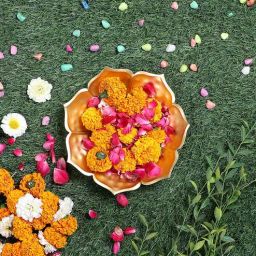 amaya decors Sunflower Urli-picture-19