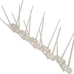 Bird Spike-picture-27