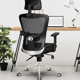 Mexico Pro Mesh Cushion Lumbar Support, Any Angle Tilt Lock Mesh Office Executive Chair-17