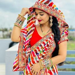 Striped Bollywood Georgette Saree-picture-18