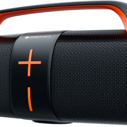 ZEBRONICS Sound Feast 200 (Zeb-PSPK 46), 30Hr Playback, mSD, TWS, USB 30 W Bluetooth Speaker-15