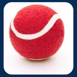 jai shri New-Tennis ball _381Pack of 6 Tennis Ball-picture-31