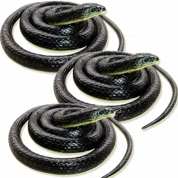 Toys & Gifts Rubber Snakes toy-28
