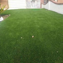 raj mahal Artificial Grass Chatai Mat image 3