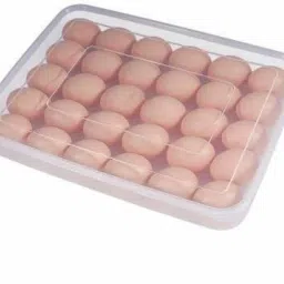 Plastic Egg Container- 2 dozen-10