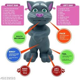 tommcat-image-30