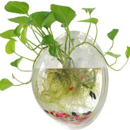 15 Inch Acrylic Wall Hanging Bowl for Fish and Plants Round Ends Aquarium Tank-12