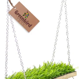 TOYS Birds Grass Swing Bird Toy Parrots, Budgies, Cockatiel, Love Birds, Hamster Wooden Chew Toy, Training Aid, Perch For Bird-picture-23