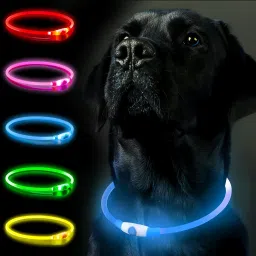 Dog Collar LED Optical Fiber Collar Dog Everyday Collar-image-99